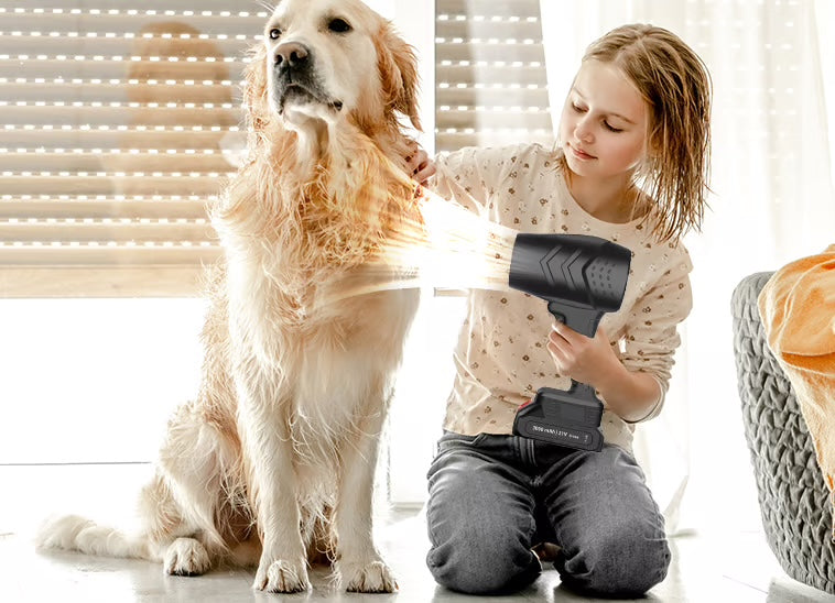 Bezprzewodowa suszarka do włosów