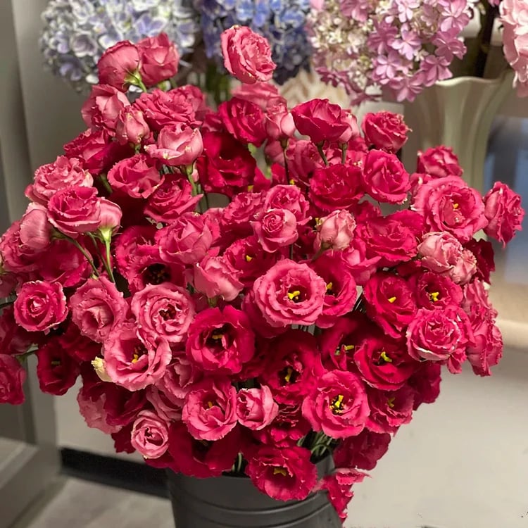 Nasiona eustomy bezkolcowej (100 szt.) 💐 Nasiona eustomy