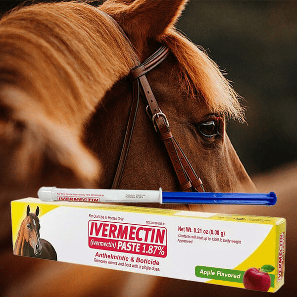 Ivermectine pasta dla koni