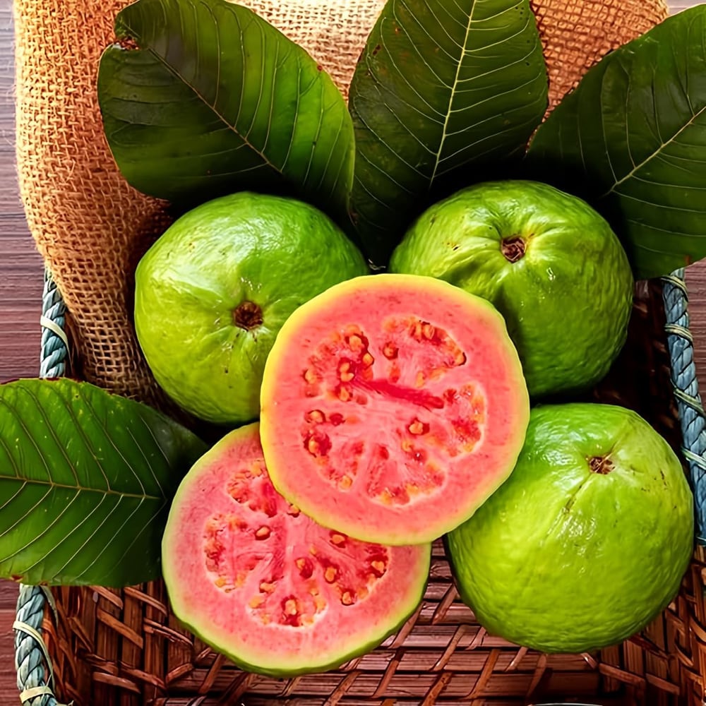 Organiczne nasiona różowej guawy - 60 sztuk