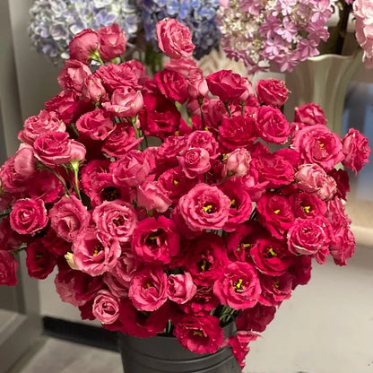 Nasiona eustomy bezkolcowej (100 szt.) 💐 Nasiona eustomy