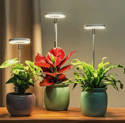 Pełnospektralne LEDowe lampy do wzrostu roślin