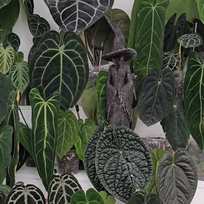 Magiczna figurka czarownicy