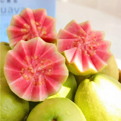 Organiczne nasiona różowej guawy - 60 sztuk