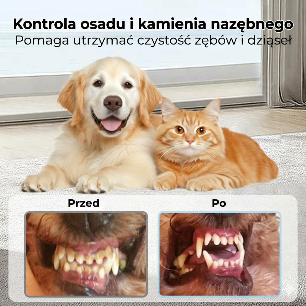 Spray do pielęgnacji zębów dla zwierząt