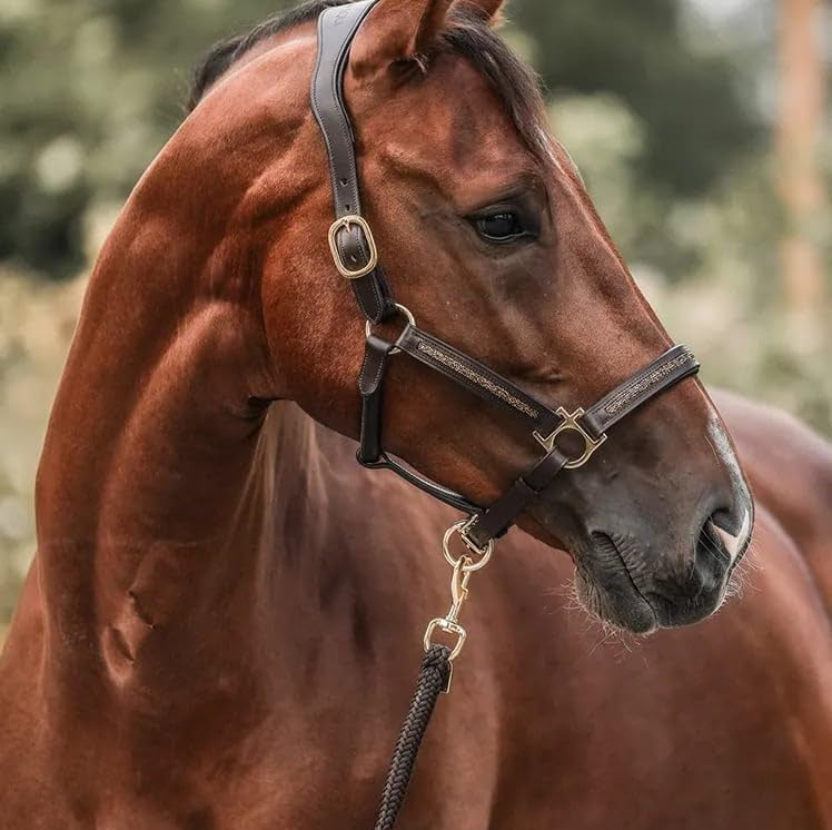 Luksusowy kalendarz adwentowy dla miłośników koni (2025)