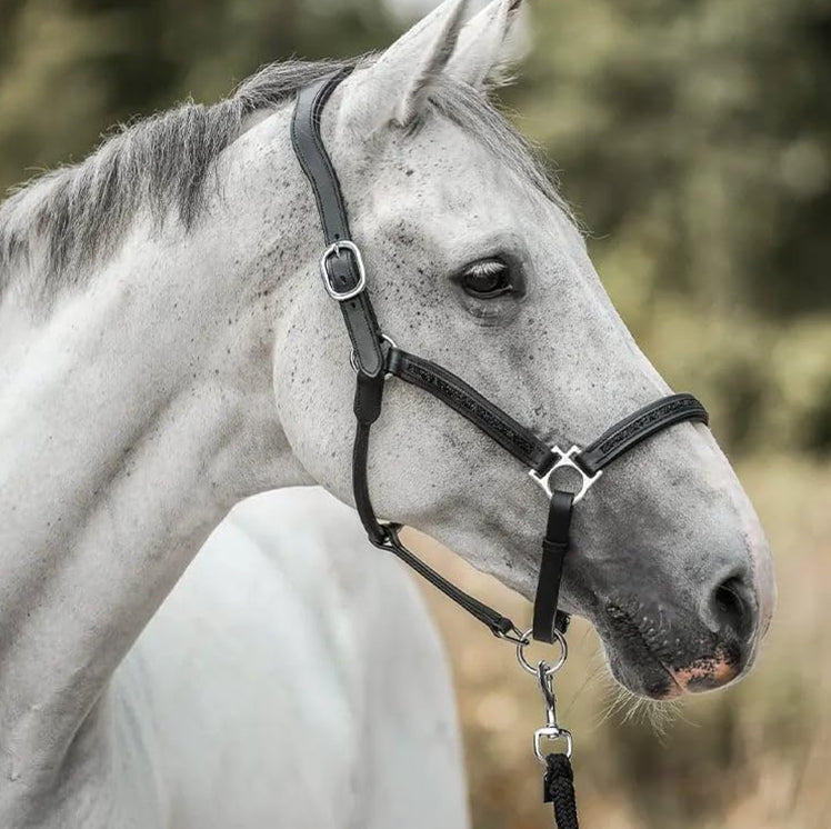 Luksusowy kalendarz adwentowy dla miłośników koni (2025)