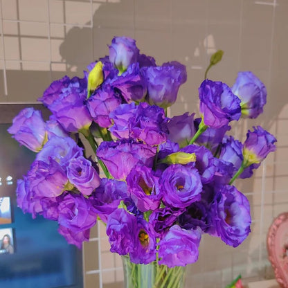 Nasiona eustomy bezkolcowej (100 szt.) 💐 Nasiona eustomy