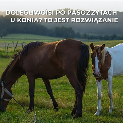 Ivermectine pasta dla koni