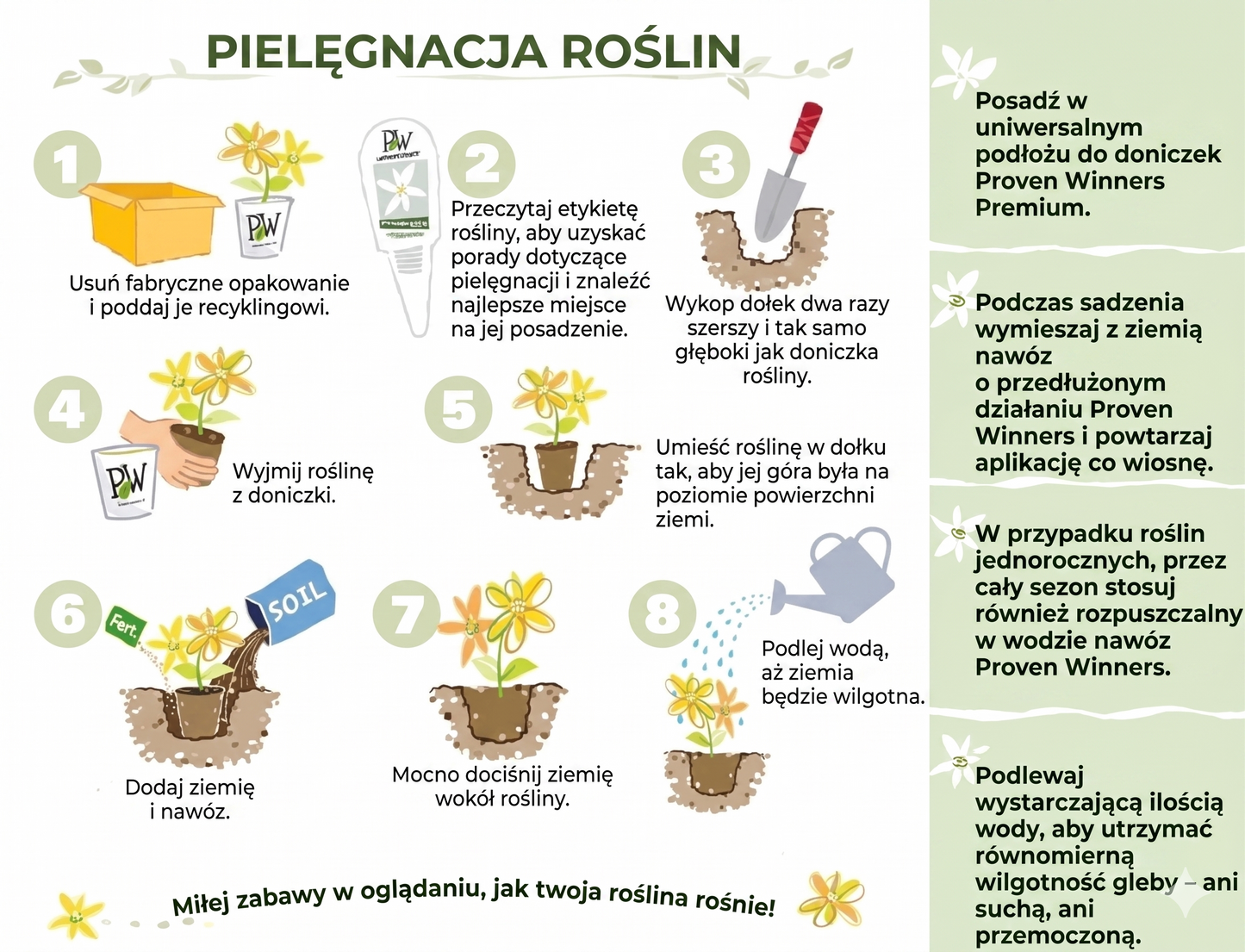 Mieszanka nasion melonów – 1000 nasion