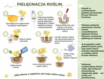 Mieszanka nasion melonów – 1000 nasion