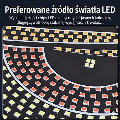 Samochodowe LED Devil Eyes na przednią szybę