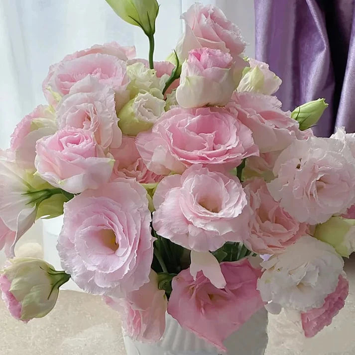 Nasiona eustomy bezkolcowej (100 szt.) 💐 Nasiona eustomy