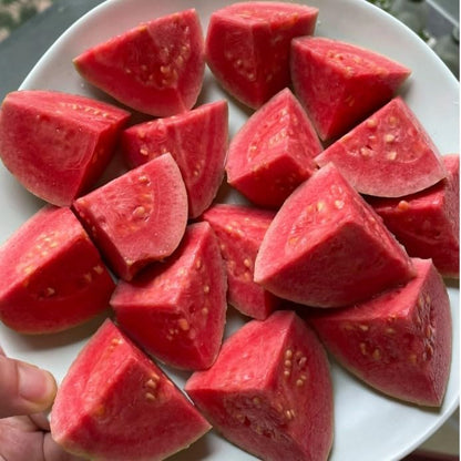 Organiczne nasiona różowej guawy - 60 sztuk