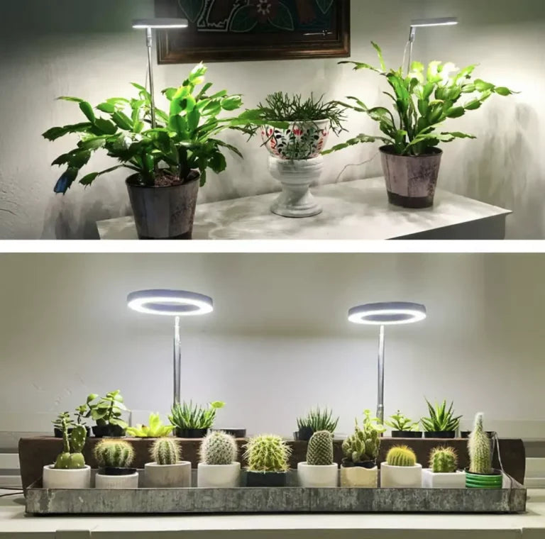 Pełnospektralne LEDowe lampy do wzrostu roślin