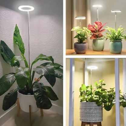 Pełnospektralne LEDowe lampy do wzrostu roślin