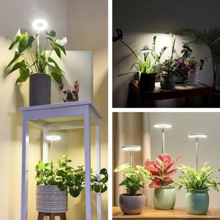Pełnospektralne LEDowe lampy do wzrostu roślin