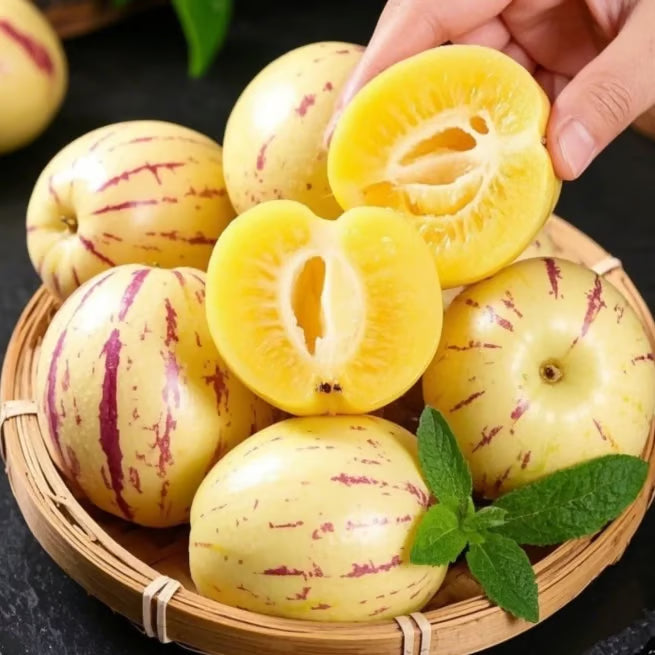 Mieszanka nasion melonów – 1000 nasion