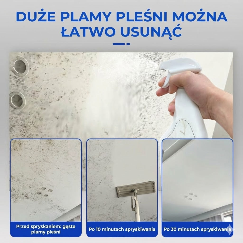 Silny spray do usuwania pleśni (natychmiastowy efekt)