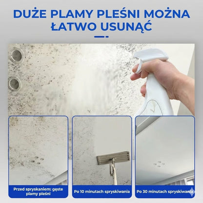 Silny spray do usuwania pleśni (natychmiastowy efekt)