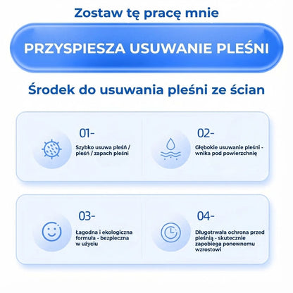 Silny spray do usuwania pleśni (natychmiastowy efekt)