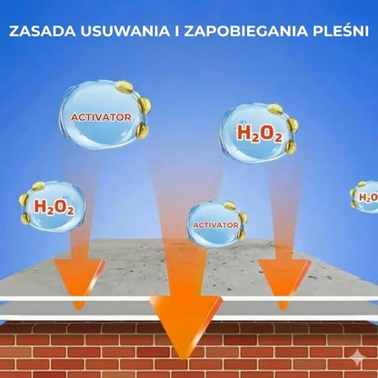 Silny spray do usuwania pleśni (natychmiastowy efekt)